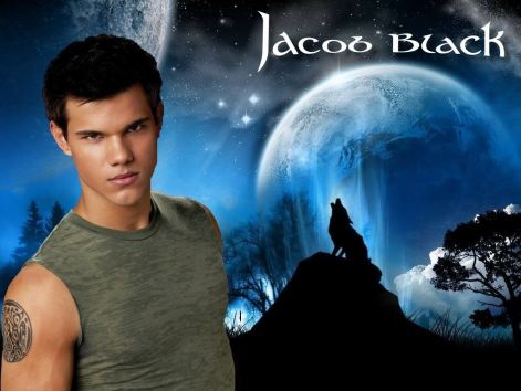 jacob-black-wolf-twilight-series-17273251-1024-768.jpg